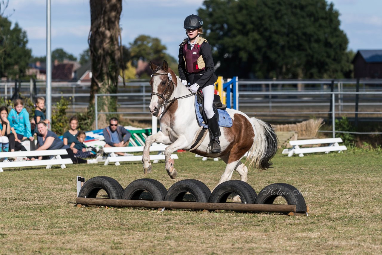 Bild 237 - Pony Akademie Turnier